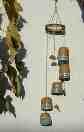 Wind Chimes